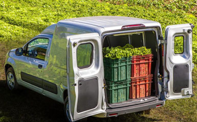 Fiat fiorino endurance 2023 04